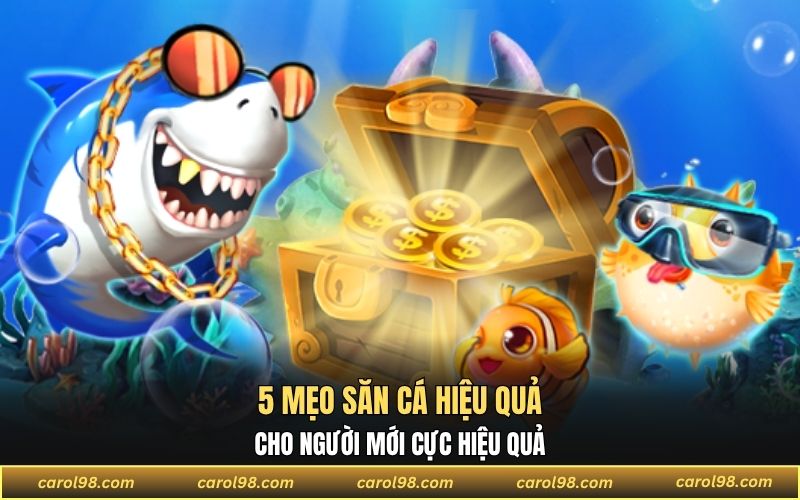 5 tips cực hữu ích từ chuyên gia mà bạn nên biết