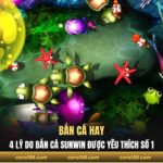 Bắn cá hay