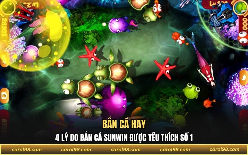 Bắn cá hay