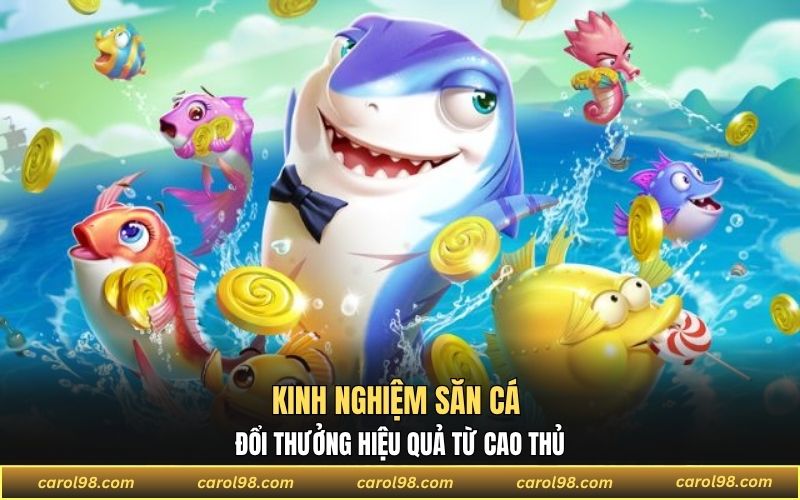 Kinh nghiệm săn cá đổi thưởng hiệu quả từ cao thủ